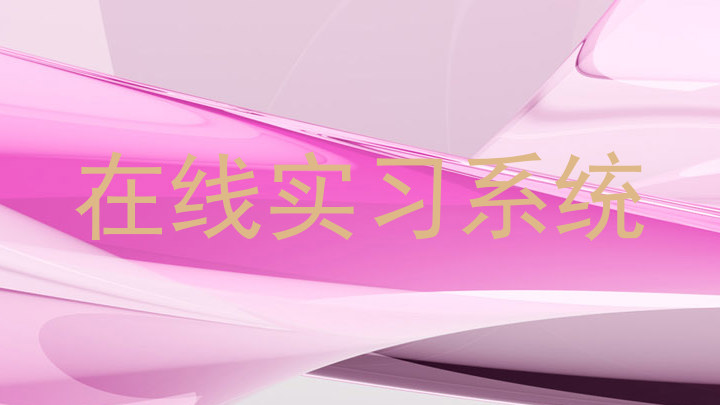 在线实习系统