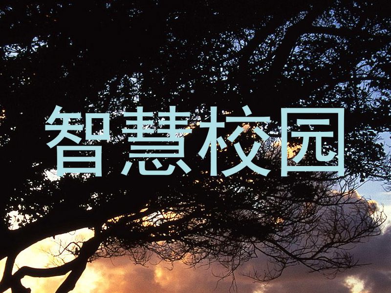 智慧校园