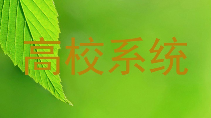 高校系统