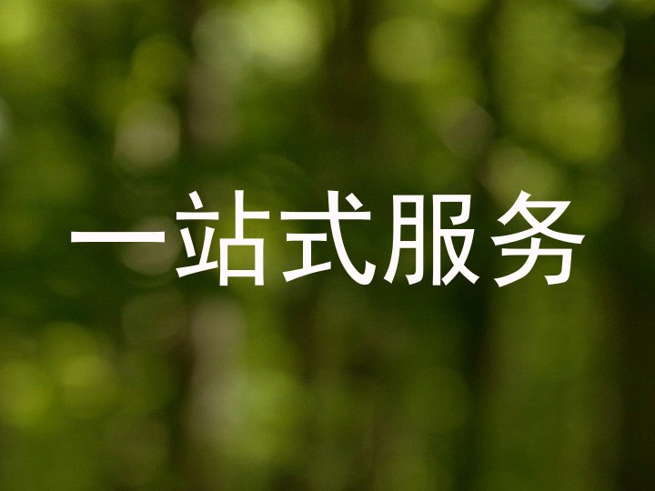 一站式服务