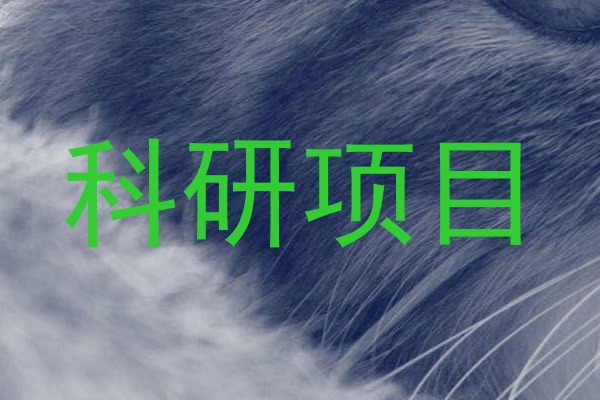 科研项目