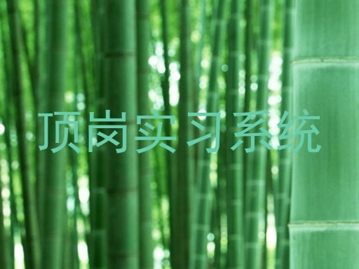顶岗实习系统