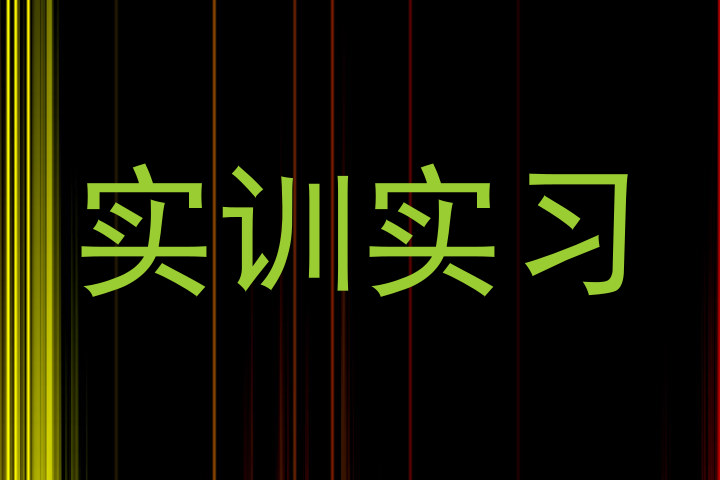 实训实习
