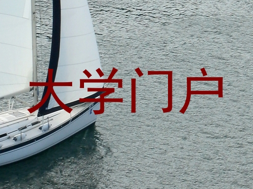 大学门户