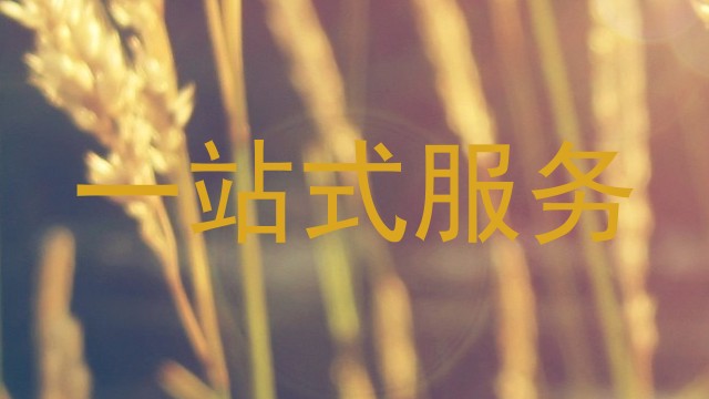 一站式服务