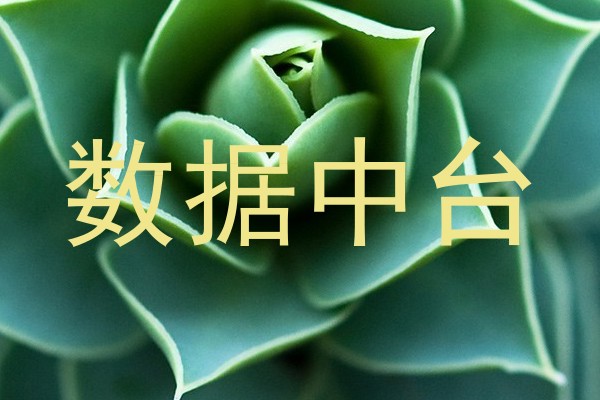 数据中台