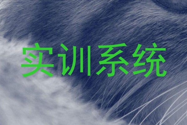 实训系统