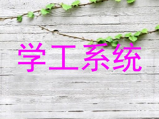 学工系统