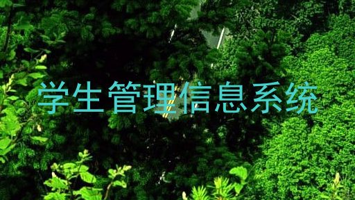 学生管理信息系统