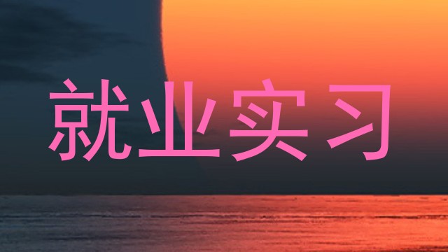 就业实习