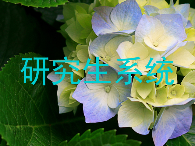 研究生系统