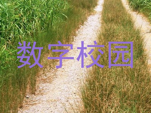 数字校园
