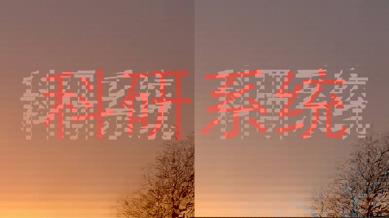 科研系统