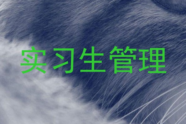 实习生管理