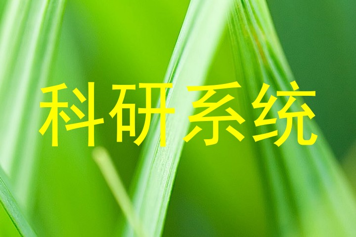 科研系统