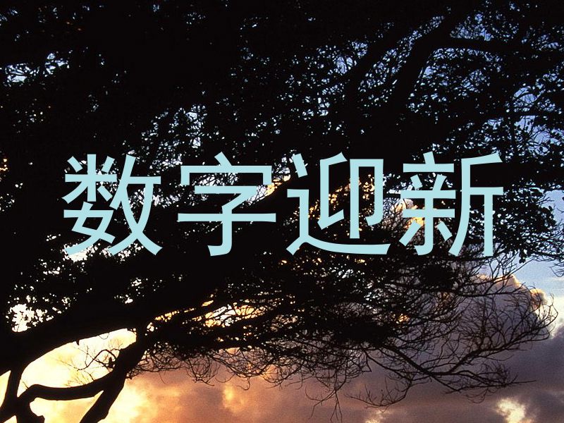 数字迎新