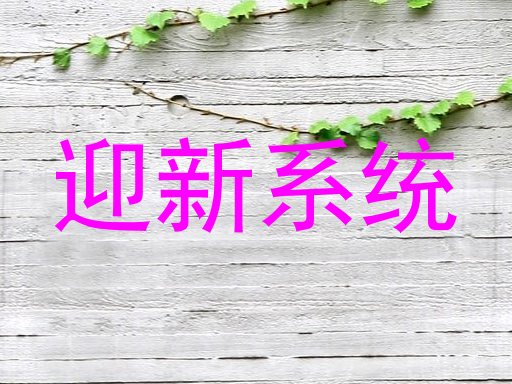 迎新系统