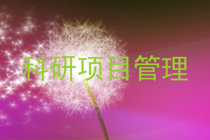 科研项目管理