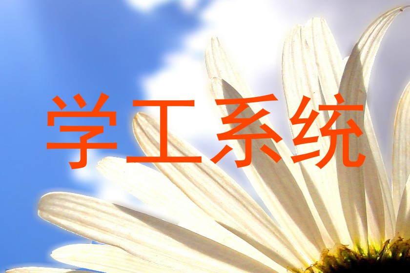 学工系统