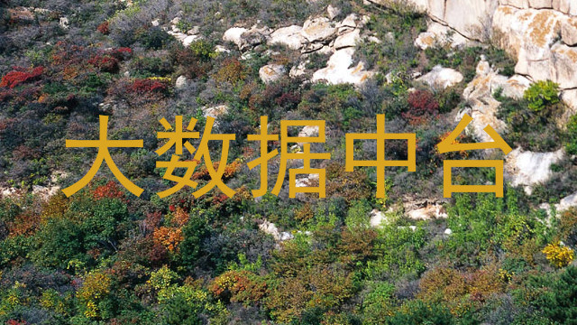 大数据中台