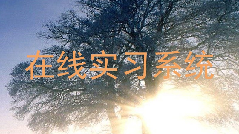 在线实习系统