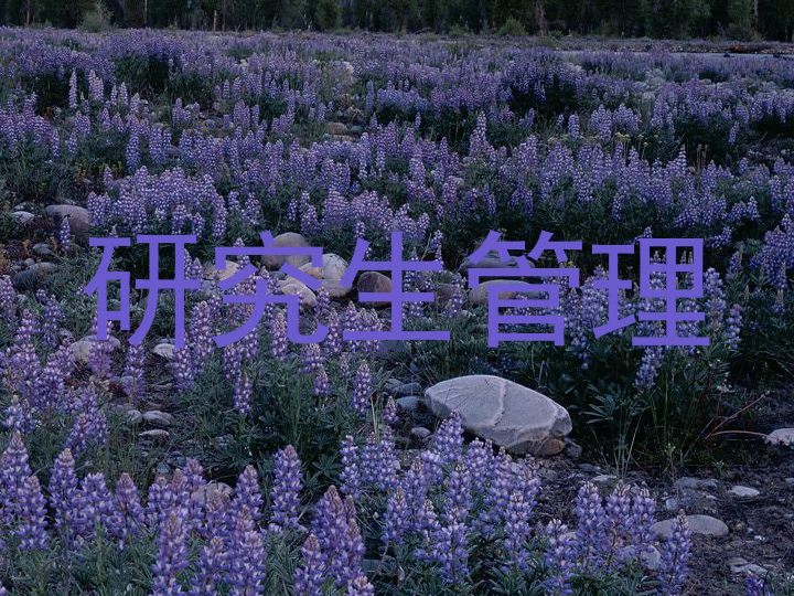 研究生管理