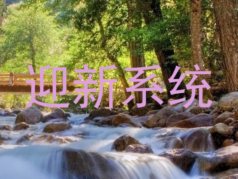 迎新系统