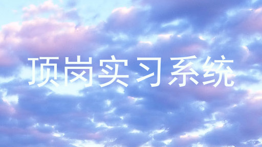 顶岗实习系统