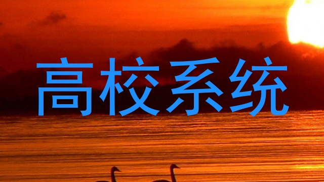 高校系统