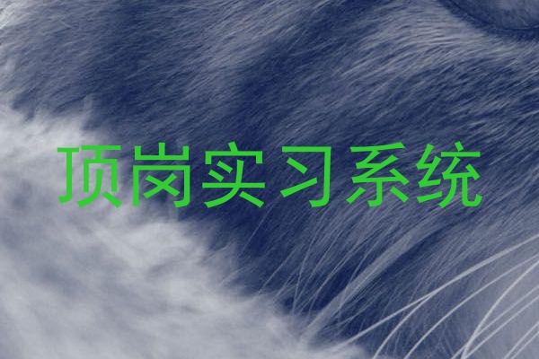 顶岗实习系统
