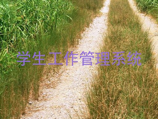 学生工作管理系统