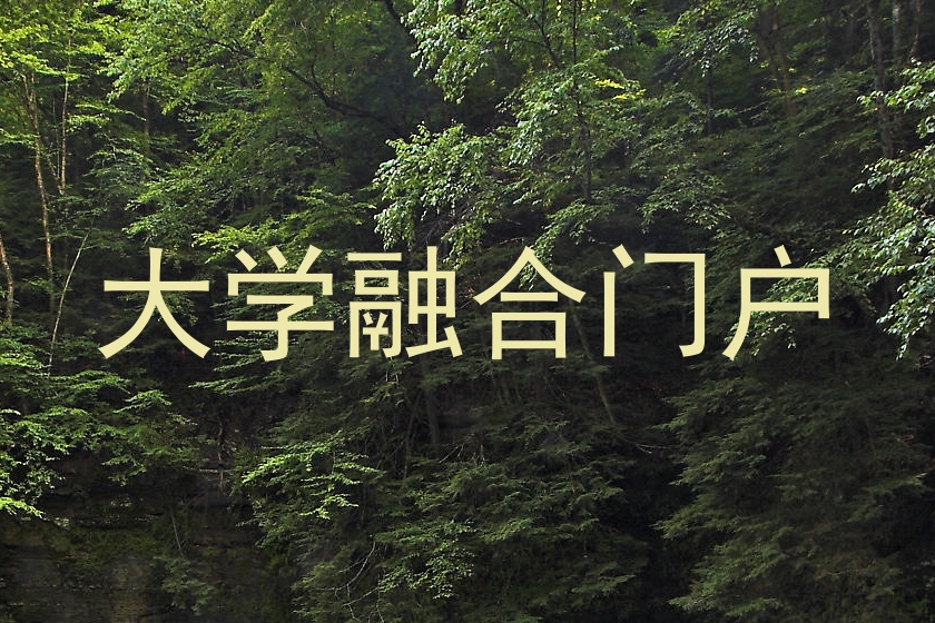大学融合门户