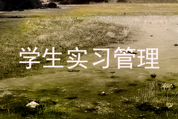 学生实习管理