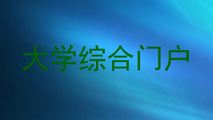 大学综合门户