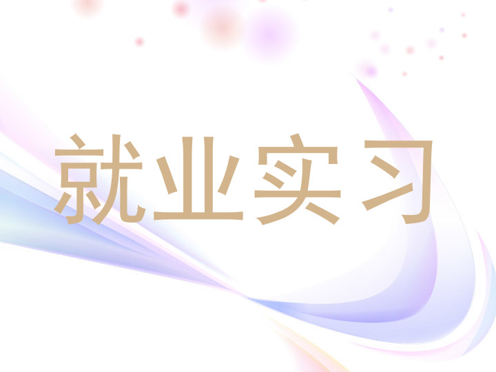 就业实习