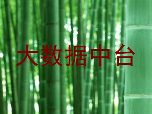 大数据中台