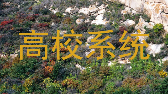 高校系统