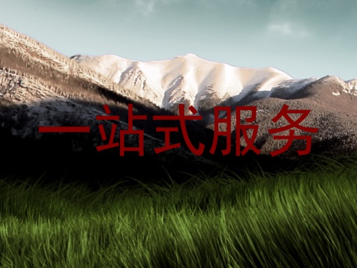 一站式服务