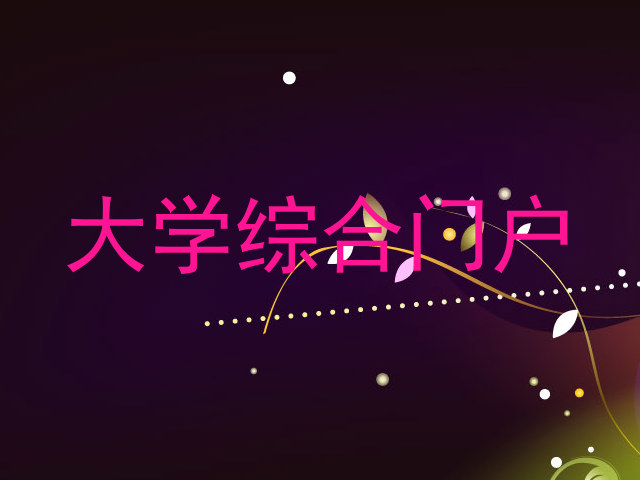大学综合门户
