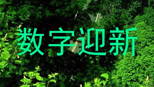 数字迎新