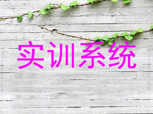 实训系统