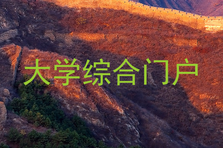 大学综合门户