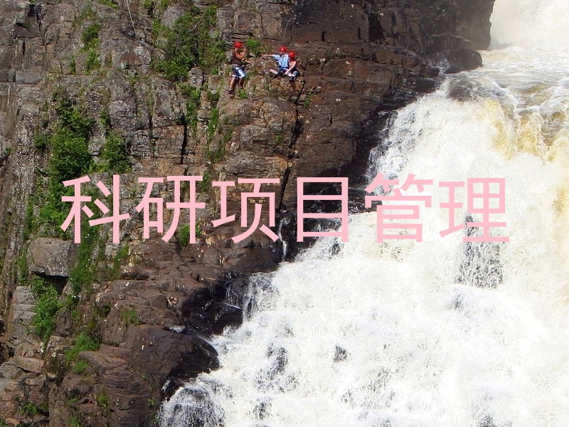 科研项目管理