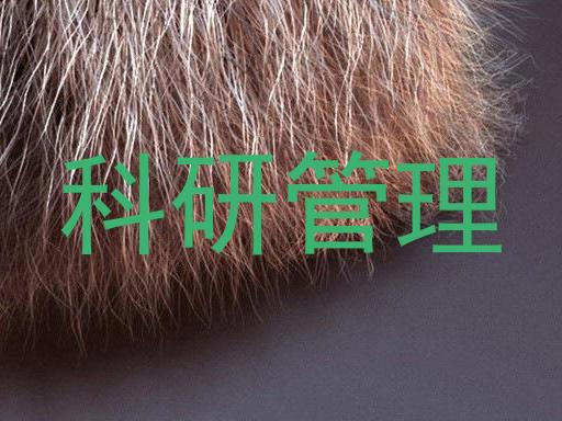 科研管理