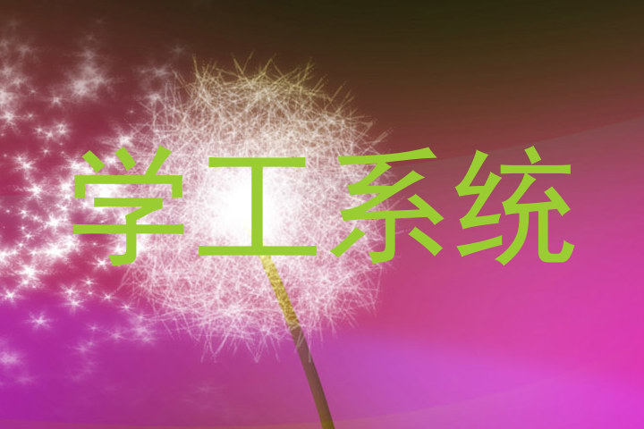 学工系统