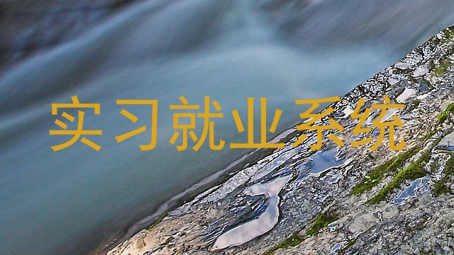 实习就业系统