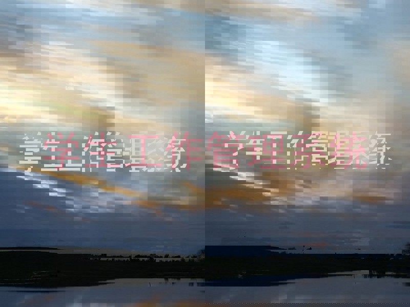 学生工作管理系统