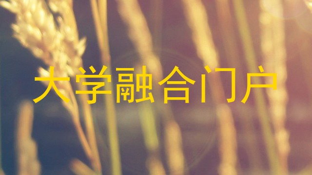 大学融合门户