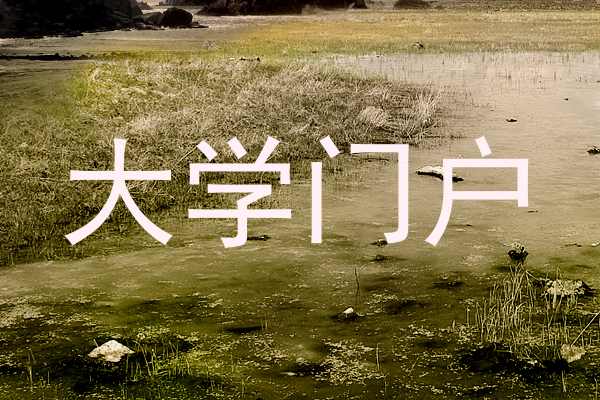 大学门户