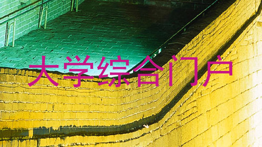 大学综合门户